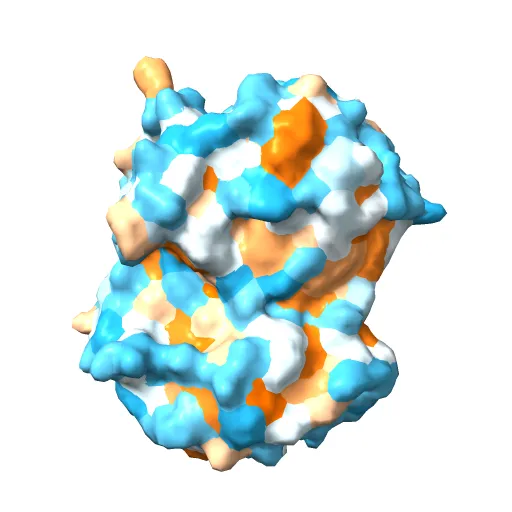 CRYSTAL STRUCTURE OF A PUTATIVE AROMATIC RING HYDROXYLASE (SARO_3538) FROM NOVOSPHINGOBIUM AROMATICIVORANS DSM AT 1.75 A RESOLUTION — Фото 8 из 13
