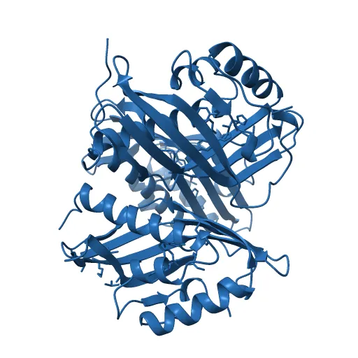 CRYSTAL STRUCTURE OF A PUTATIVE AROMATIC RING HYDROXYLASE (SARO_3538) FROM NOVOSPHINGOBIUM AROMATICIVORANS DSM AT 1.75 A RESOLUTION — Фото 9 из 13