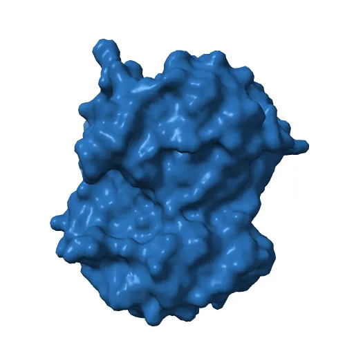 CRYSTAL STRUCTURE OF A PUTATIVE AROMATIC RING HYDROXYLASE (SARO_3538) FROM NOVOSPHINGOBIUM AROMATICIVORANS DSM AT 1.75 A RESOLUTION — Фото 10 из 13