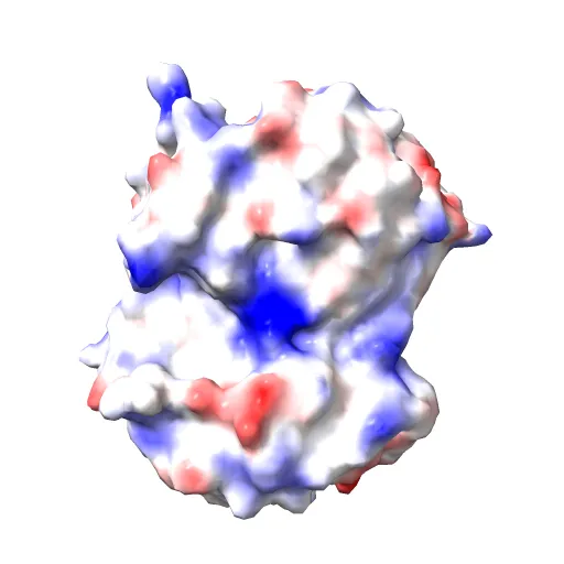 CRYSTAL STRUCTURE OF A PUTATIVE AROMATIC RING HYDROXYLASE (SARO_3538) FROM NOVOSPHINGOBIUM AROMATICIVORANS DSM AT 1.75 A RESOLUTION — Фото 11 из 13