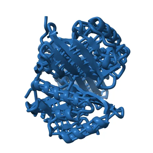 CRYSTAL STRUCTURE OF A PUTATIVE AROMATIC RING HYDROXYLASE (SARO_3538) FROM NOVOSPHINGOBIUM AROMATICIVORANS DSM AT 1.75 A RESOLUTION — Фото 12 из 13