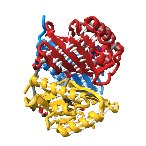 CRYSTAL STRUCTURE OF A PUTATIVE AROMATIC RING HYDROXYLASE (SARO_3538) FROM NOVOSPHINGOBIUM AROMATICIVORANS DSM AT 1.75 A RESOLUTION — Фото 13 из 13