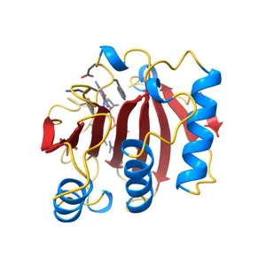 Crystal structure of wheat C113S mutant EIF4E bound TO 7-methyl-GDP