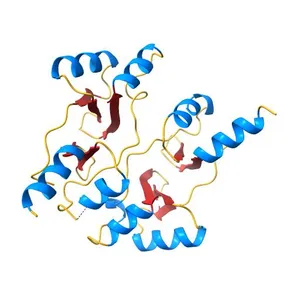 Staphylococcus aureus OpuCA