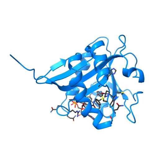 SEROTONIN N-ACETYLTRANSFERASE COMPLEXED WITH A BISUBSTRATE ANALOG — Фото 4 из 13