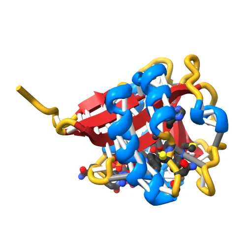 SEROTONIN N-ACETYLTRANSFERASE COMPLEXED WITH A BISUBSTRATE ANALOG — Фото 5 из 13