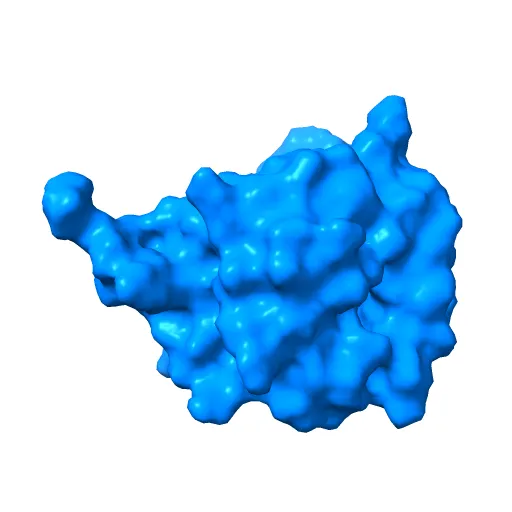 SEROTONIN N-ACETYLTRANSFERASE COMPLEXED WITH A BISUBSTRATE ANALOG — Фото 7 из 13