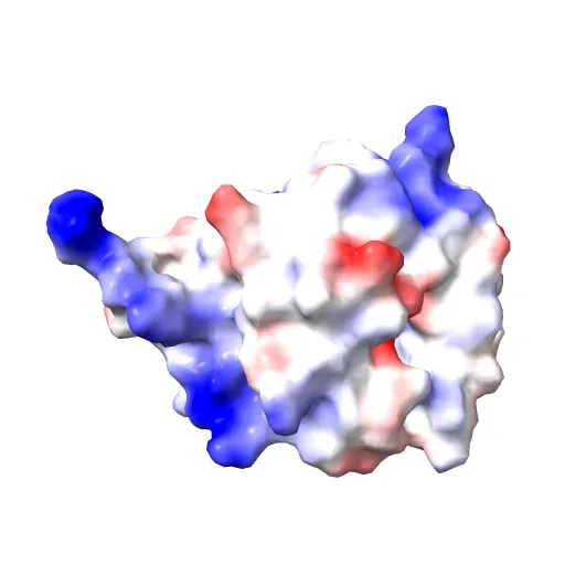 SEROTONIN N-ACETYLTRANSFERASE COMPLEXED WITH A BISUBSTRATE ANALOG — Фото 8 из 13