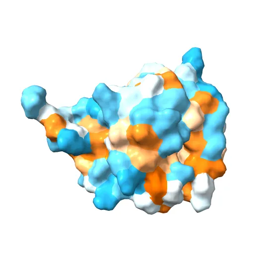 SEROTONIN N-ACETYLTRANSFERASE COMPLEXED WITH A BISUBSTRATE ANALOG — Фото 11 из 13