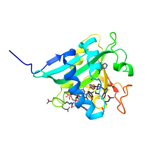 SEROTONIN N-ACETYLTRANSFERASE COMPLEXED WITH A BISUBSTRATE ANALOG — Фото 12 из 13