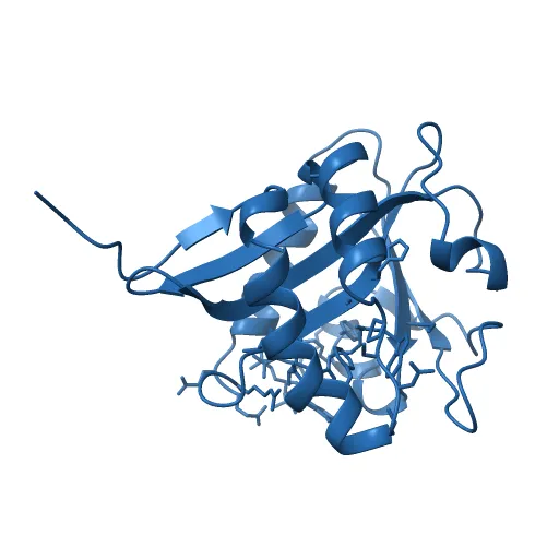 SEROTONIN N-ACETYLTRANSFERASE COMPLEXED WITH A BISUBSTRATE ANALOG — Фото 13 из 13
