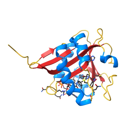 SEROTONIN N-ACETYLTRANSFERASE COMPLEXED WITH A BISUBSTRATE ANALOG — Фото 2 из 13