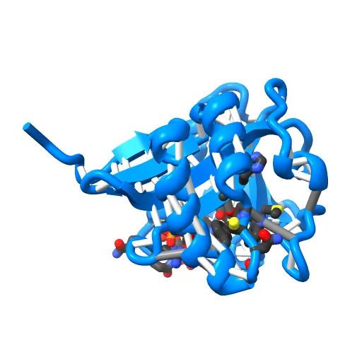 SEROTONIN N-ACETYLTRANSFERASE COMPLEXED WITH A BISUBSTRATE ANALOG — Фото 3 из 13
