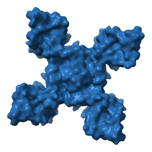 Crystal structure of the NavAb voltage-gated sodium channel (Ile217Cys, 2.7 A) — Фото 2 из 13