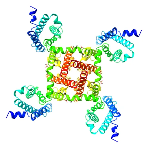 Crystal structure of the NavAb voltage-gated sodium channel (Ile217Cys, 2.7 A) — Фото 3 из 13