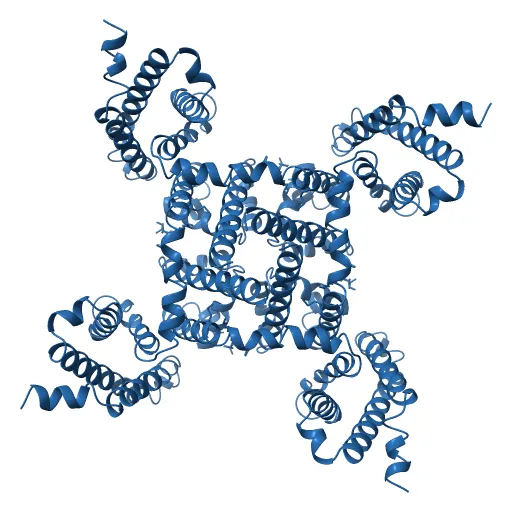 Crystal structure of the NavAb voltage-gated sodium channel (Ile217Cys, 2.7 A) — Фото 4 из 13