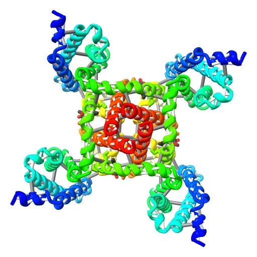 Crystal structure of the NavAb voltage-gated sodium channel (Ile217Cys, 2.7 A) — Фото 5 из 13