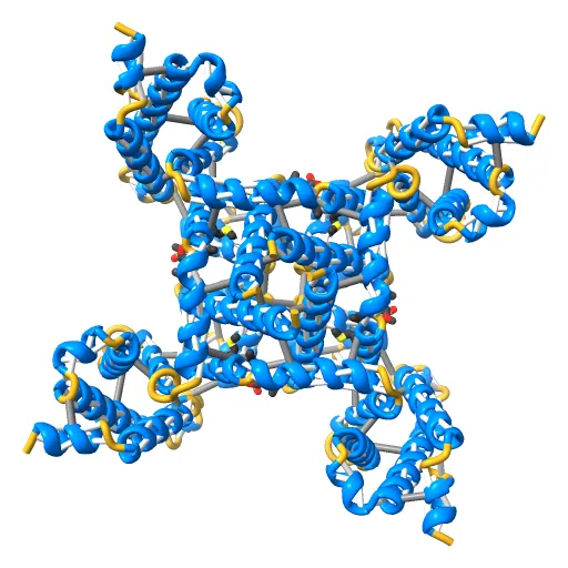 Crystal structure of the NavAb voltage-gated sodium channel (Ile217Cys, 2.7 A) — Фото 7 из 13