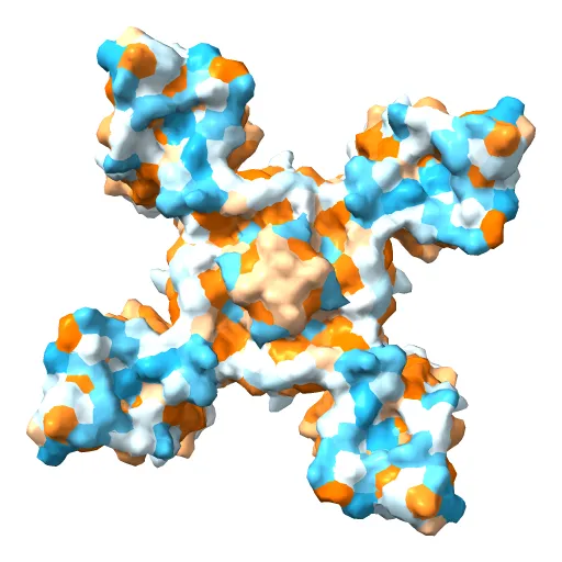 Crystal structure of the NavAb voltage-gated sodium channel (Ile217Cys, 2.7 A) — Фото 8 из 13