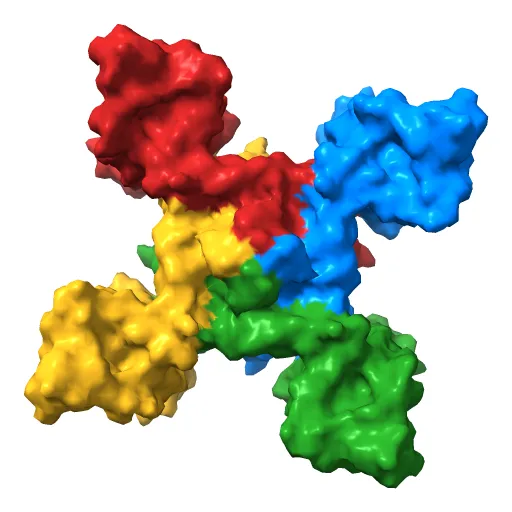 Crystal structure of the NavAb voltage-gated sodium channel (Ile217Cys, 2.7 A) — Фото 10 из 13