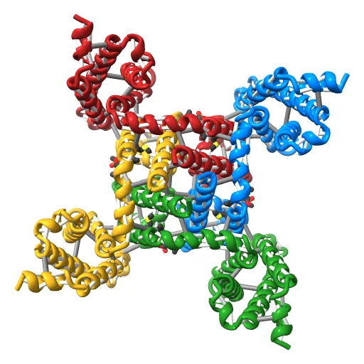 Crystal structure of the NavAb voltage-gated sodium channel (Ile217Cys, 2.7 A) — Фото 12 из 13