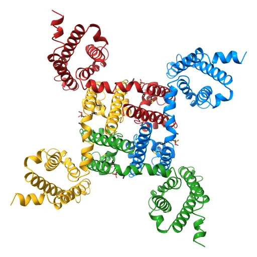 Crystal structure of the NavAb voltage-gated sodium channel (Ile217Cys, 2.7 A) — Фото 13 из 13