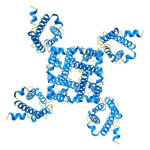 Crystal structure of the NavAb voltage-gated sodium channel (Ile217Cys, 2.7 A)