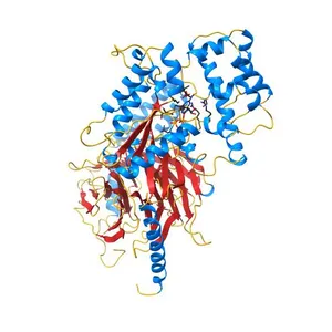 G PROTEIN HETEROTRIMER GI_ALPHA_1 BETA_1 GAMMA_2 WITH GDP BOUND