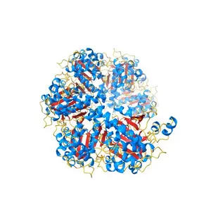 A Crystal Structure of the Rad51 Filament