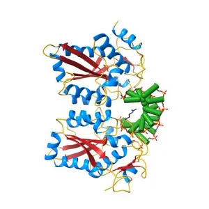 RESTRICTION ENDONUCLEASE BAMHI BOUND TO A NON-SPECIFIC DNA.