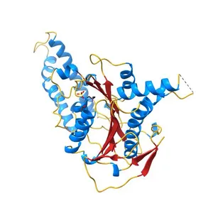 Crystal Structure of ATPase delta1-79 Spa47 R350A