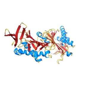 Crystal Structure Of Biotin Protein Ligase From Aquifex Aeolicus
