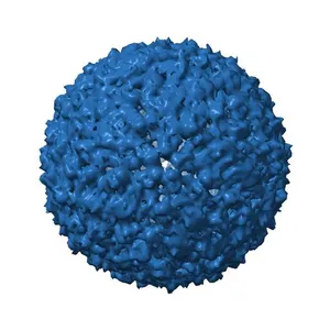 Cryo-EM structure of Dengue serotype 3 virus at 37 degrees C