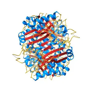 Crystal structure of the bifunctional chorismate synthase from Saccharomyces cerevisiae