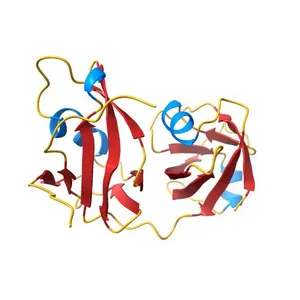 Structural insights into the interaction of p97 N-terminal domain and SHP motif in Derlin-1 rhomboid pseudoprotease