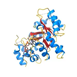 Crystal structure of the holo form of AKR4C7 from maize