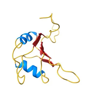 Solution structure of the RRM domain of TRNA selenocysteine associated protein