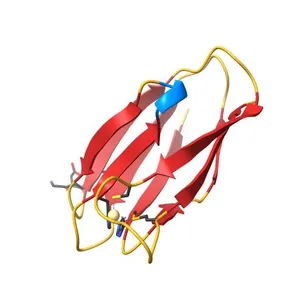 Crystal Structure of Uncharacterized Cupredoxin-like domain protein from Bacillus anthracis
