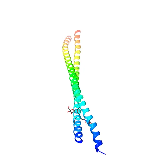 Crystal Structure of BST2-Tetherin Ectodomain expressed in HEK293T cells — Фото 2 из 13