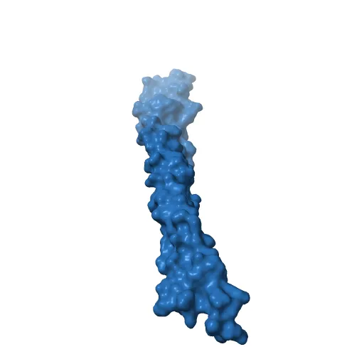 Crystal Structure of BST2-Tetherin Ectodomain expressed in HEK293T cells — Фото 6 из 13