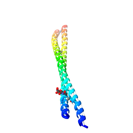 Crystal Structure of BST2-Tetherin Ectodomain expressed in HEK293T cells — Фото 7 из 13