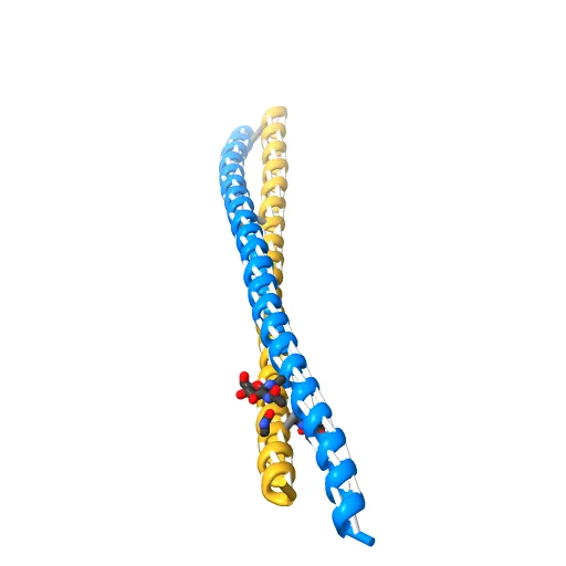 Crystal Structure of BST2-Tetherin Ectodomain expressed in HEK293T cells — Фото 8 из 13