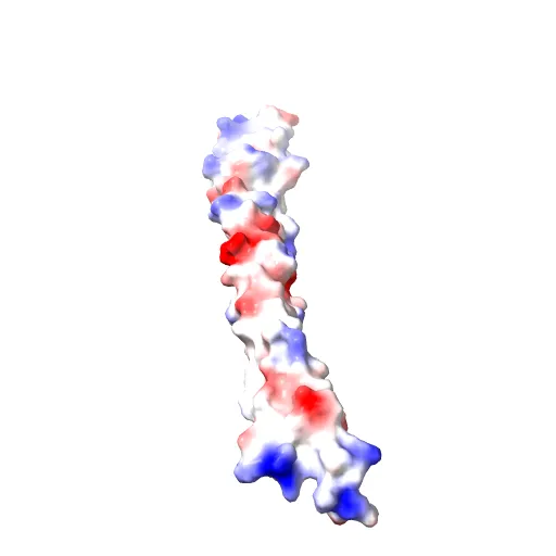 Crystal Structure of BST2-Tetherin Ectodomain expressed in HEK293T cells — Фото 9 из 13