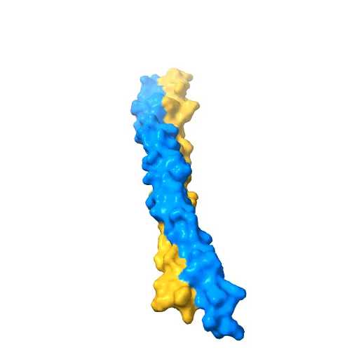 Crystal Structure of BST2-Tetherin Ectodomain expressed in HEK293T cells — Фото 10 из 13