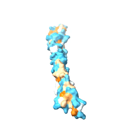 Crystal Structure of BST2-Tetherin Ectodomain expressed in HEK293T cells — Фото 11 из 13