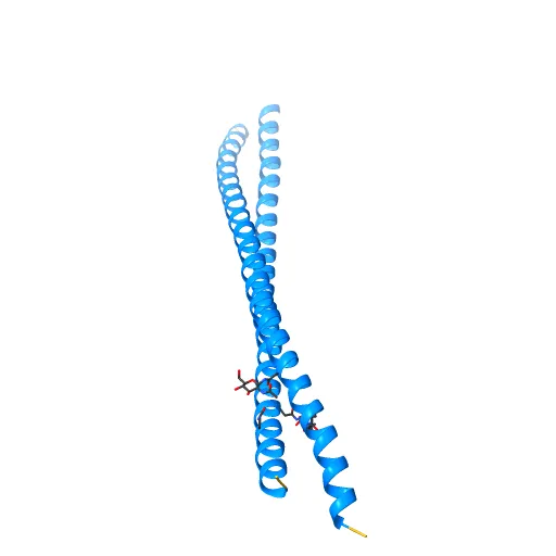Crystal Structure of BST2-Tetherin Ectodomain expressed in HEK293T cells — Фото 12 из 13
