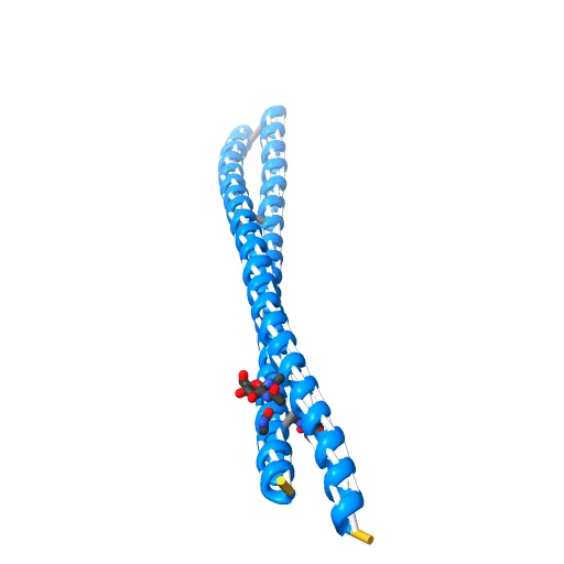 Crystal Structure of BST2-Tetherin Ectodomain expressed in HEK293T cells — Фото 13 из 13