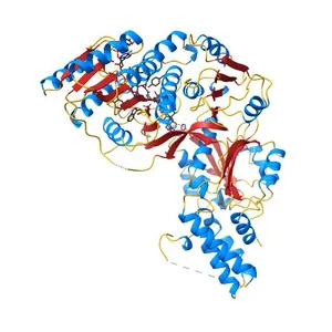 Structure of the beta-ketoacyl reductase domain of human fatty acid synthase bound to a spiro-imidazolone inhibitor