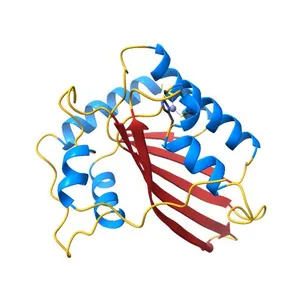 Crystal Structure of the Human APOBEC3C having HIV-1 Vif-binding Interface