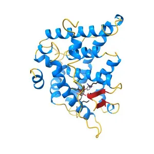Crystal Structure of cortisol-bound glucocorticoid receptor ligand binding domain